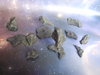 Asteroids BLUE set